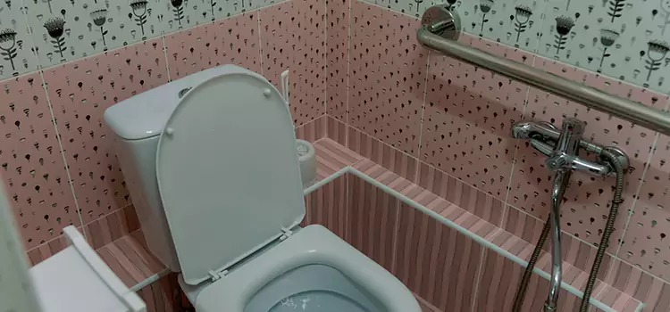 Meeting Diverse Needs With Accessible Restroom Solutions in Charlottesville, VA